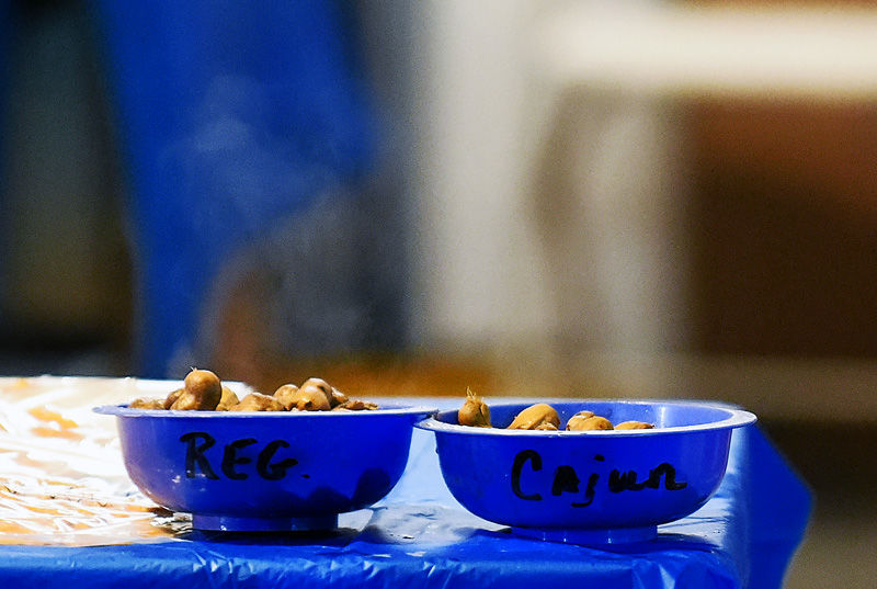 Wednesday at the National Peanut Festival